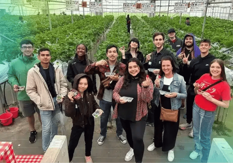 The Intern Group Global Internship Program. Program Fees & Start Dates | The Intern Group - Internships Abroad